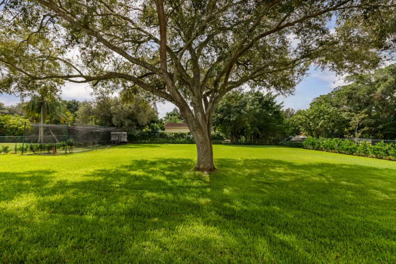 Tree Health Assessment